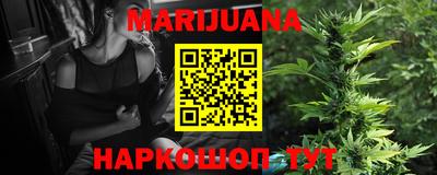 сатива Славгород