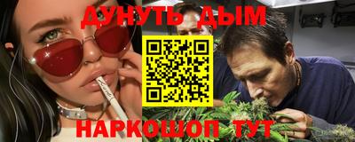 сатива Славгород