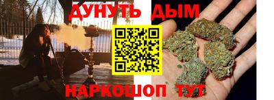 сатива Славгород