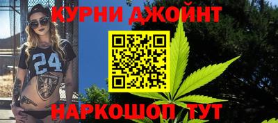 сатива Славгород