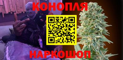 сатива Славгород